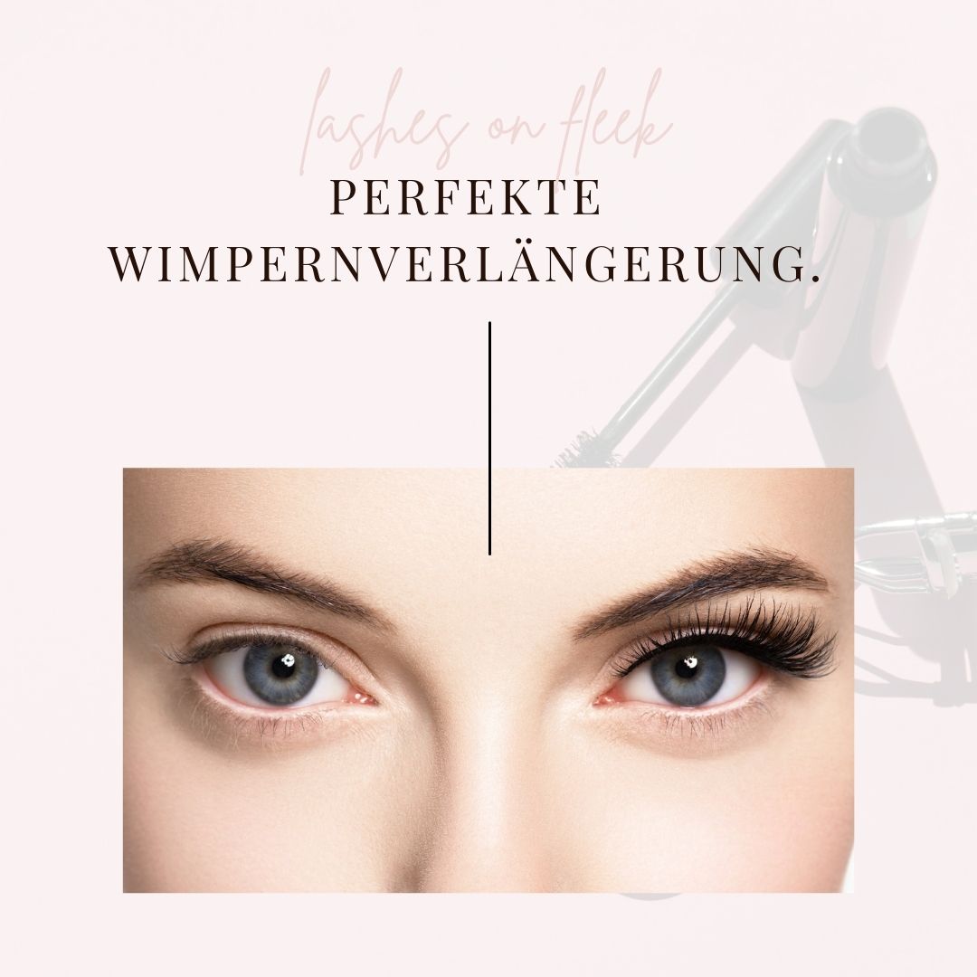 Wimpernverlängerung Basis Kurs